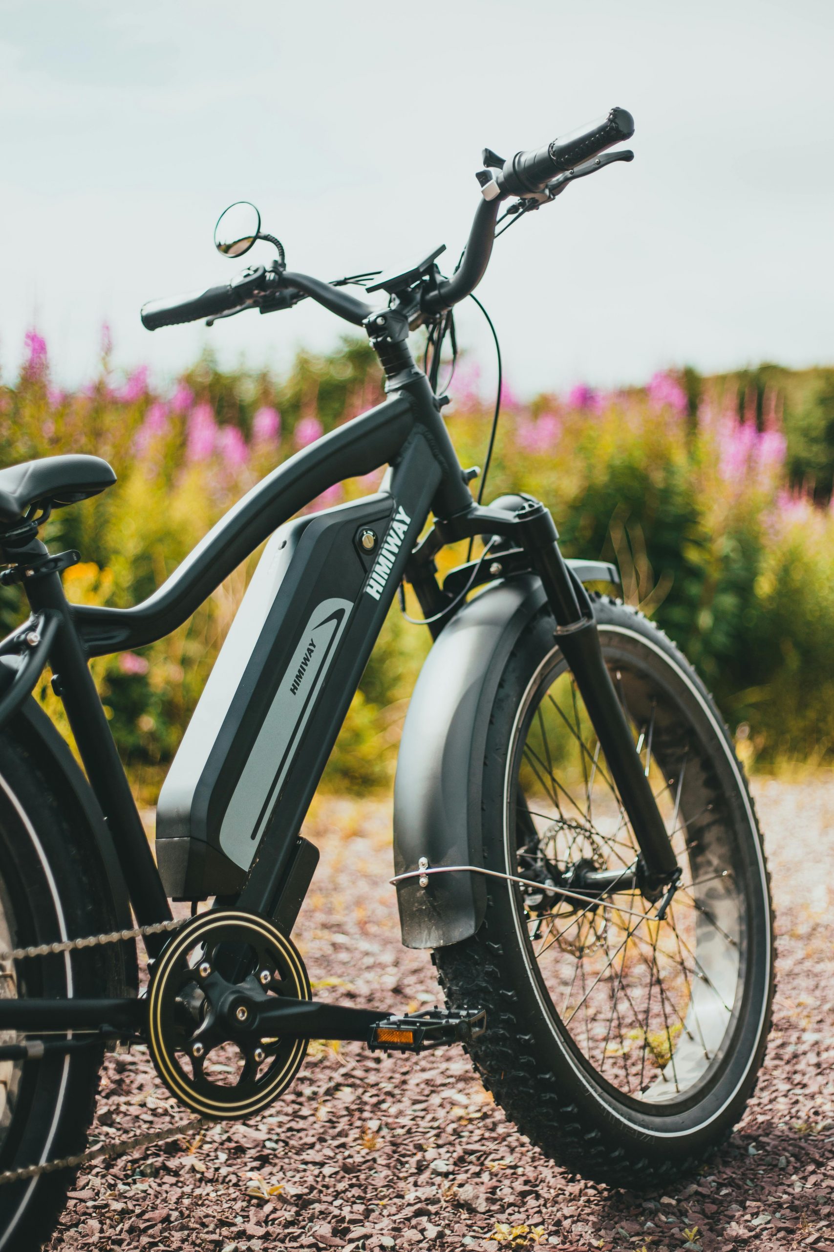 ebike rental